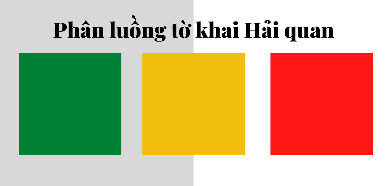 Phân Luồng Hải Quan Là Gì? Hiểu Đúng Để Không “Dính Đòn” Khi Thông Quan