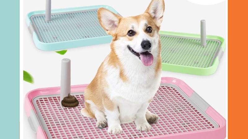 Top 3+ khay vệ sinh cho chó Trung Quốc, link shop uy tín