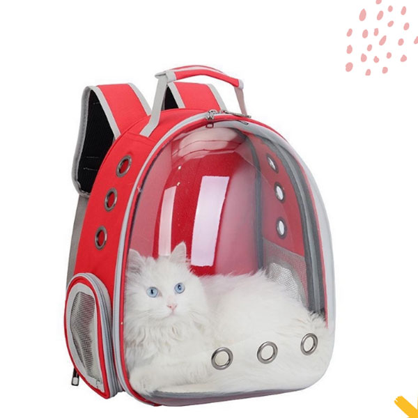 Kinh doanh balo vận chuyển chó mèo Trung Quốc giá rẻ