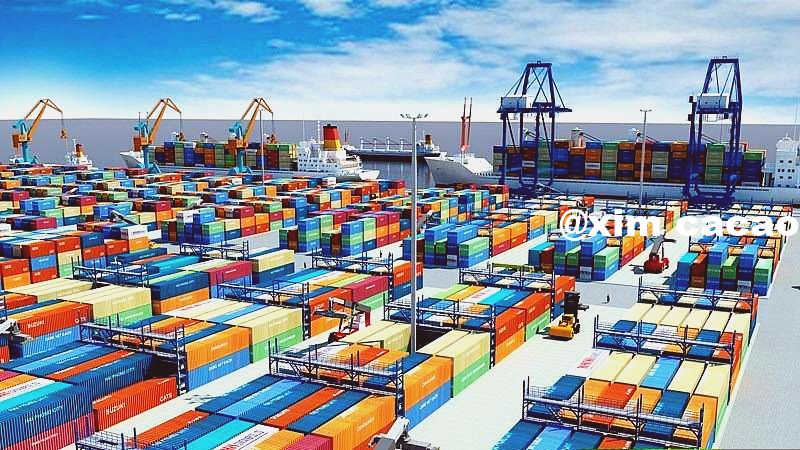 Nhập hàng sớm tránh thời điểm cao điểm, khan xe tỷ giá tệ lên cao. Hơn hết hàng luôn sẵn sàng trong kho phục vụ mùa cao điểm