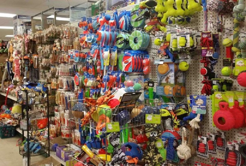 Chợ này có rất nhiều gian hàng kinh doanh với đa dạng sản phẩm và chủng loại thú cưng, từ chó, mèo, thỏ, đến các loài thú cưng hiếm, như rùa, khỉ, cá sấu…